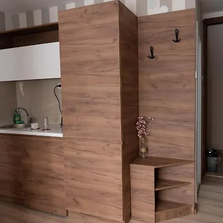 Apartamento Maksimovic Ni